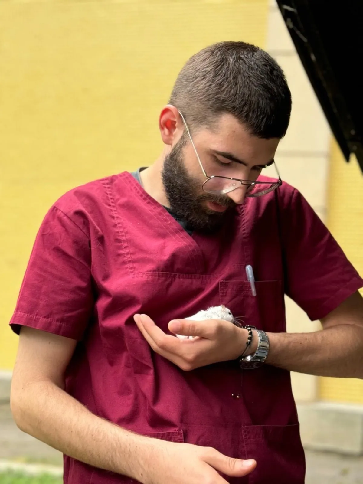 Dr.Vet Cristian in action